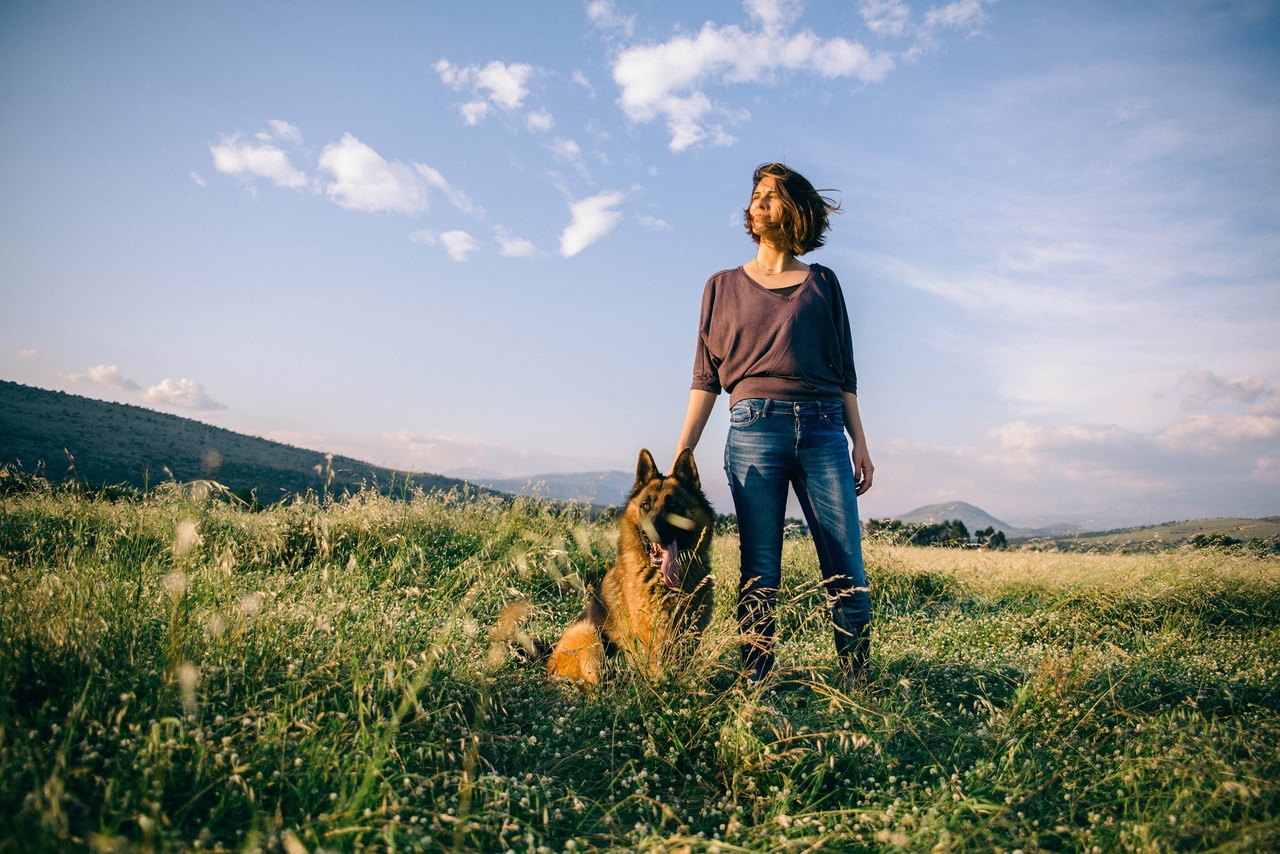 adopting a german shepherd