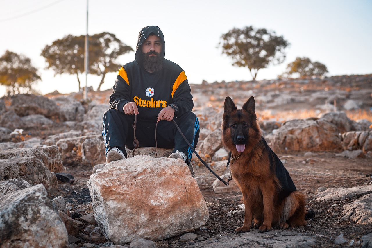 are german shepherds good guard dogs