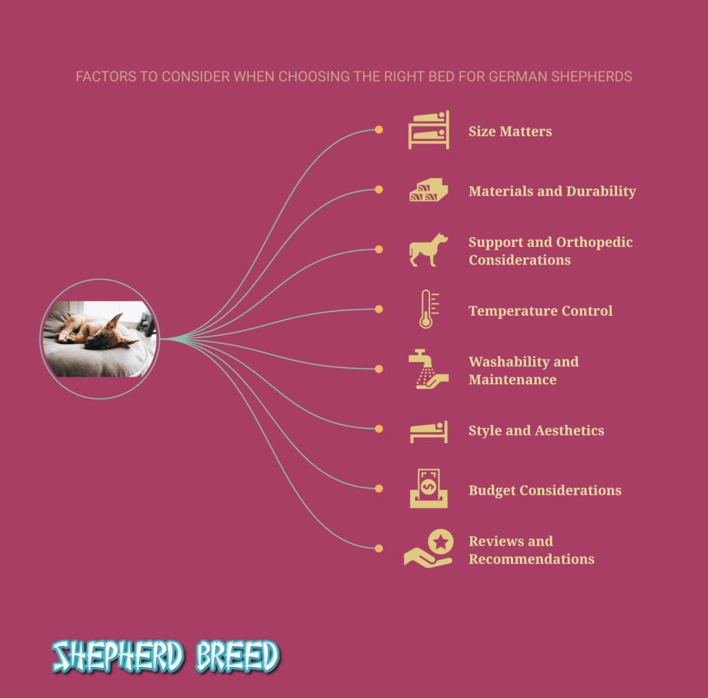how to choose a bed for a German Shepherd