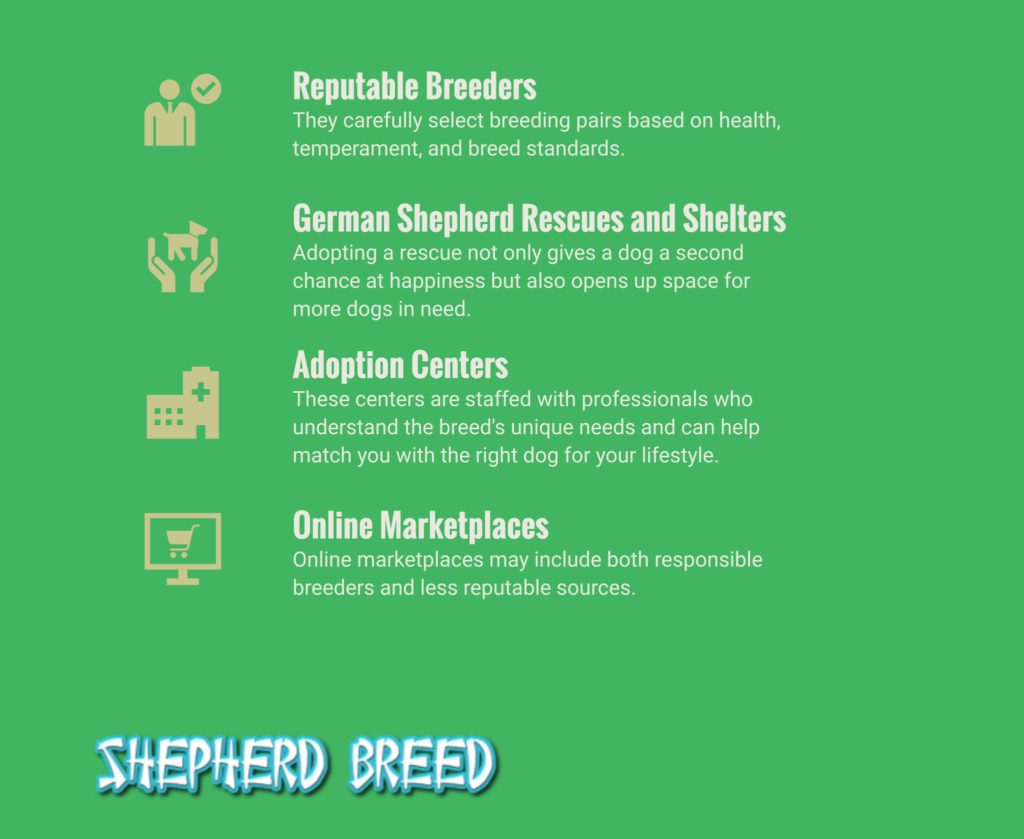 where to buy german shepherd dog