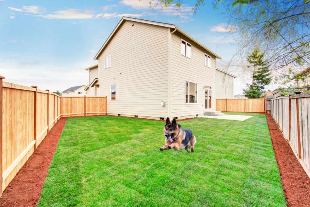 how to escape proof home for german shepherd