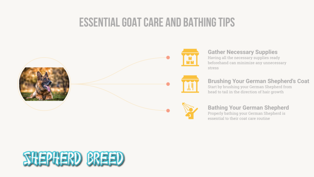 german shepherd coat care and bathing tips