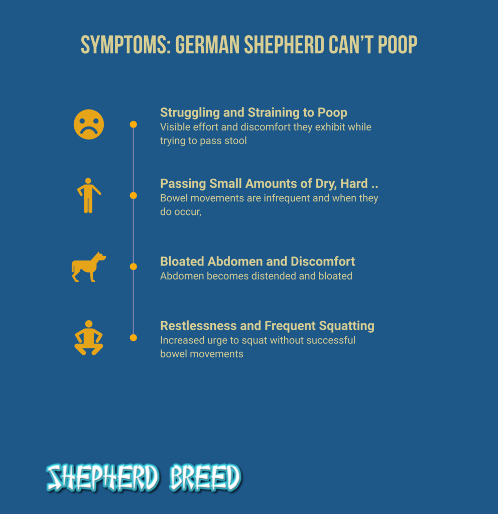german shepherd can't poop
